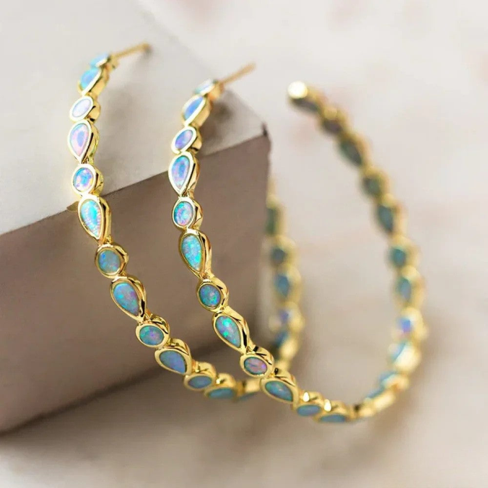 Luxury Vintage Hook Earrings